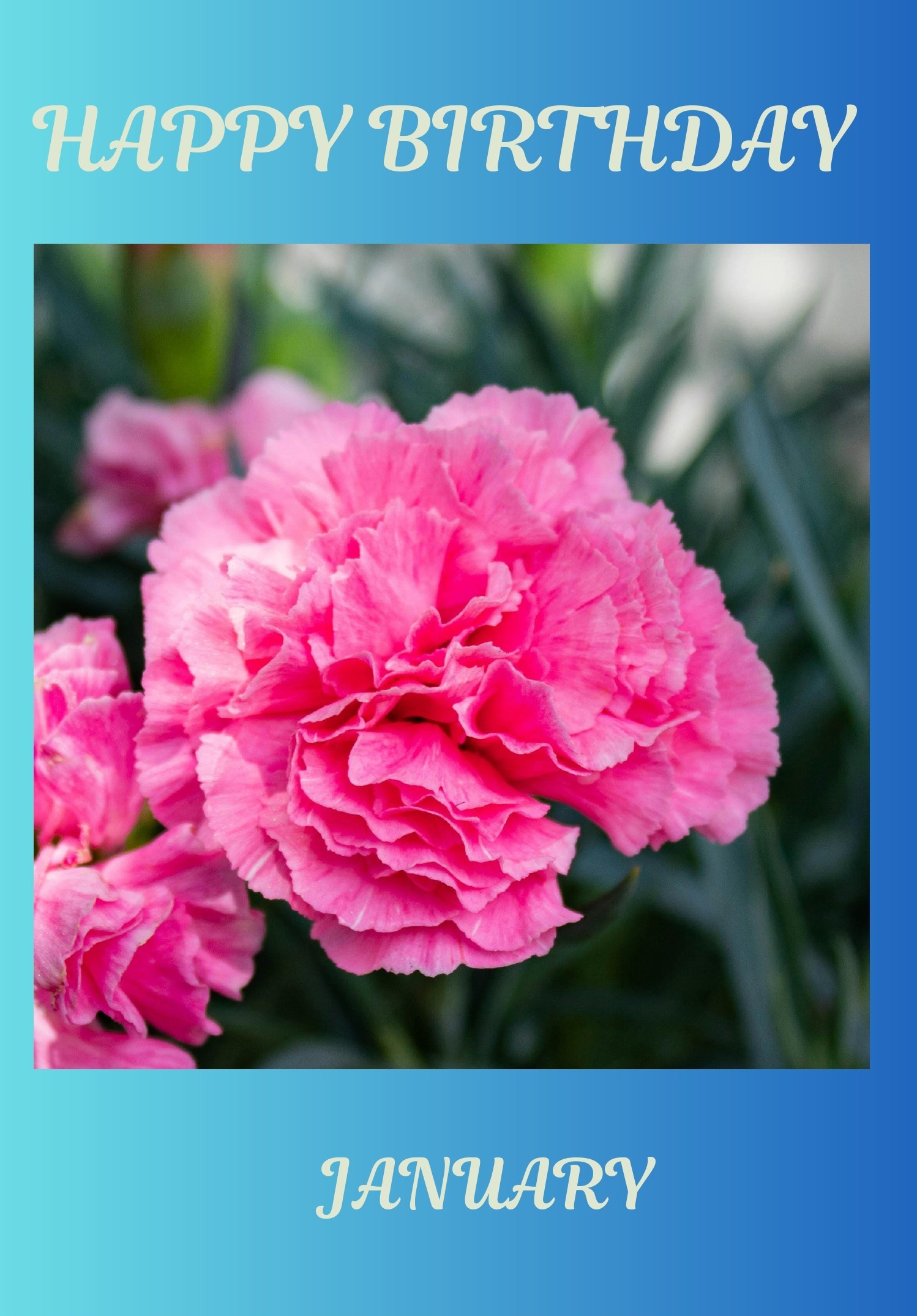 January Birth Flower Card